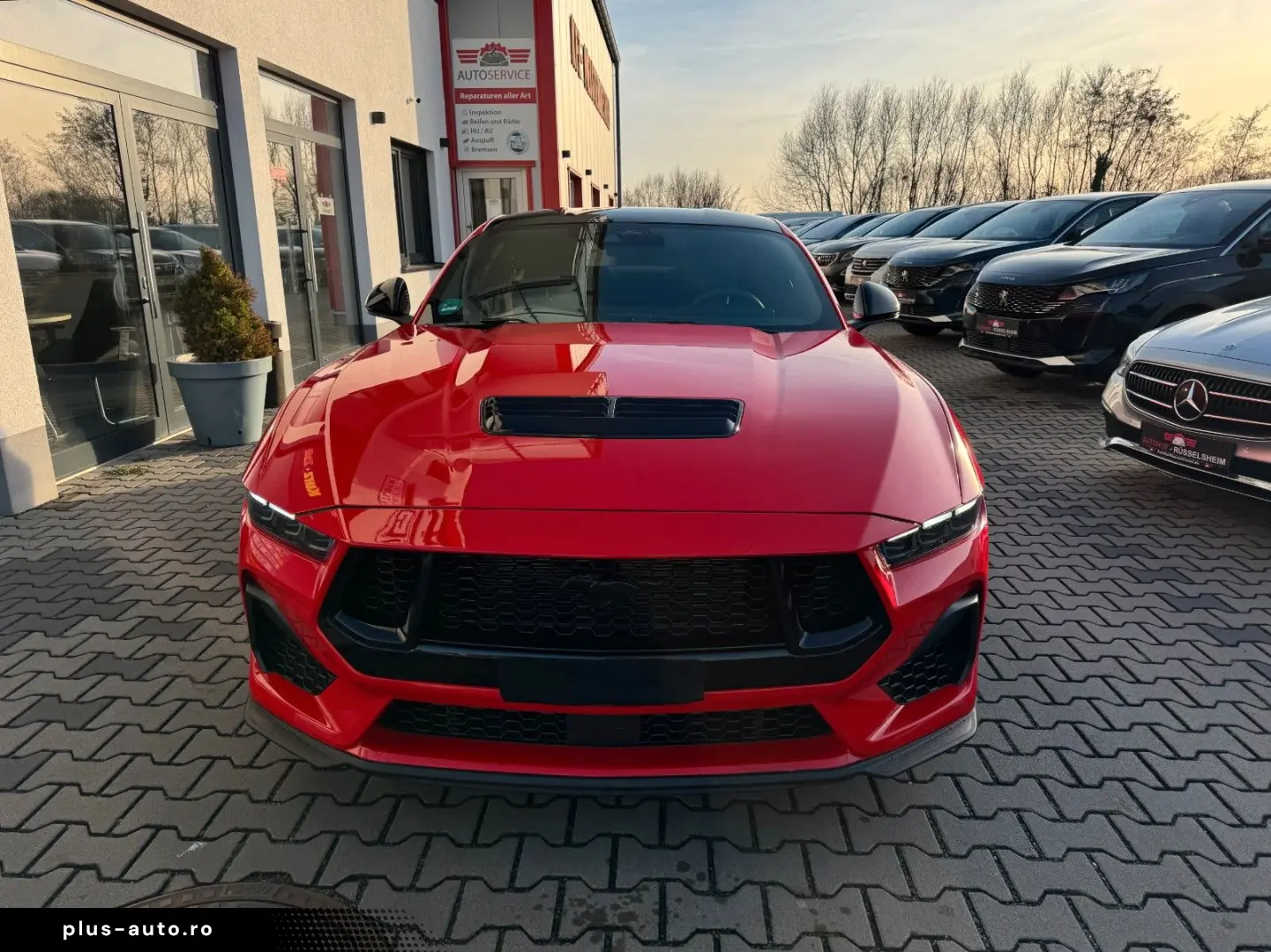 FORD Mustang Fastback 5.0 V8 Styling-Paket  VOLL