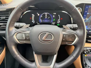 LEXUS NX 450h  E-Four Luxury Line   360 Kamera