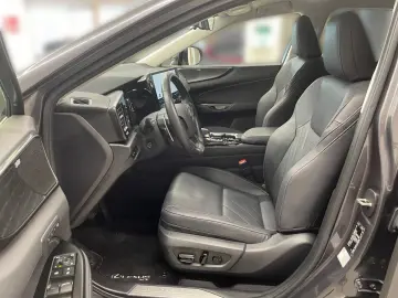 LEXUS NX 450h  Luxury Line E-FOUR ACC LEDER R.CAM MATR