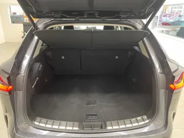 LEXUS NX 450h  Luxury Line E-FOUR ACC LEDER R.CAM MATR