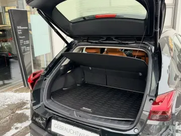 LEXUS UX 250h 2 0 HEV Luxury Line   Schiebedach   360