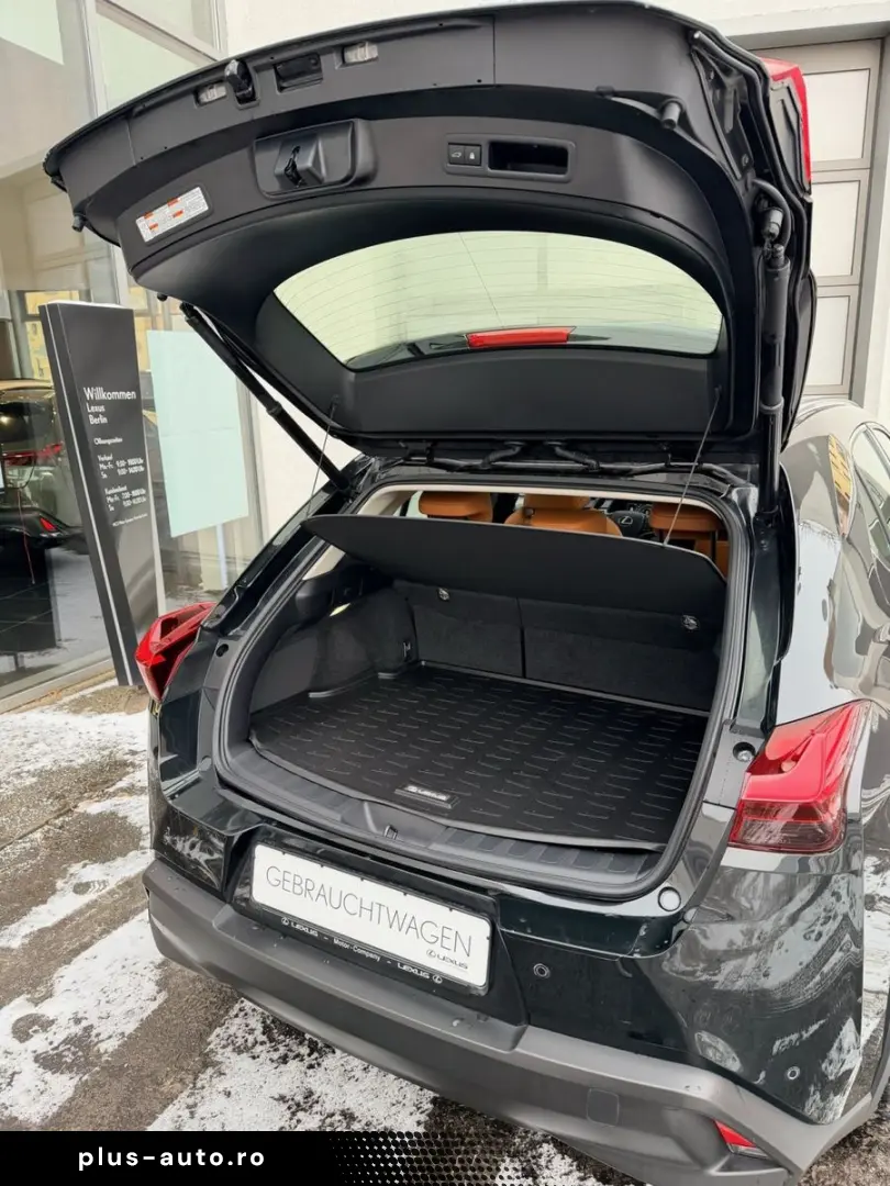 LEXUS UX 250h 2 0 HEV Luxury Line   Schiebedach   360