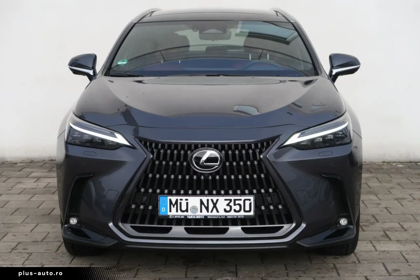 LEXUS NX 350h Luxury Line