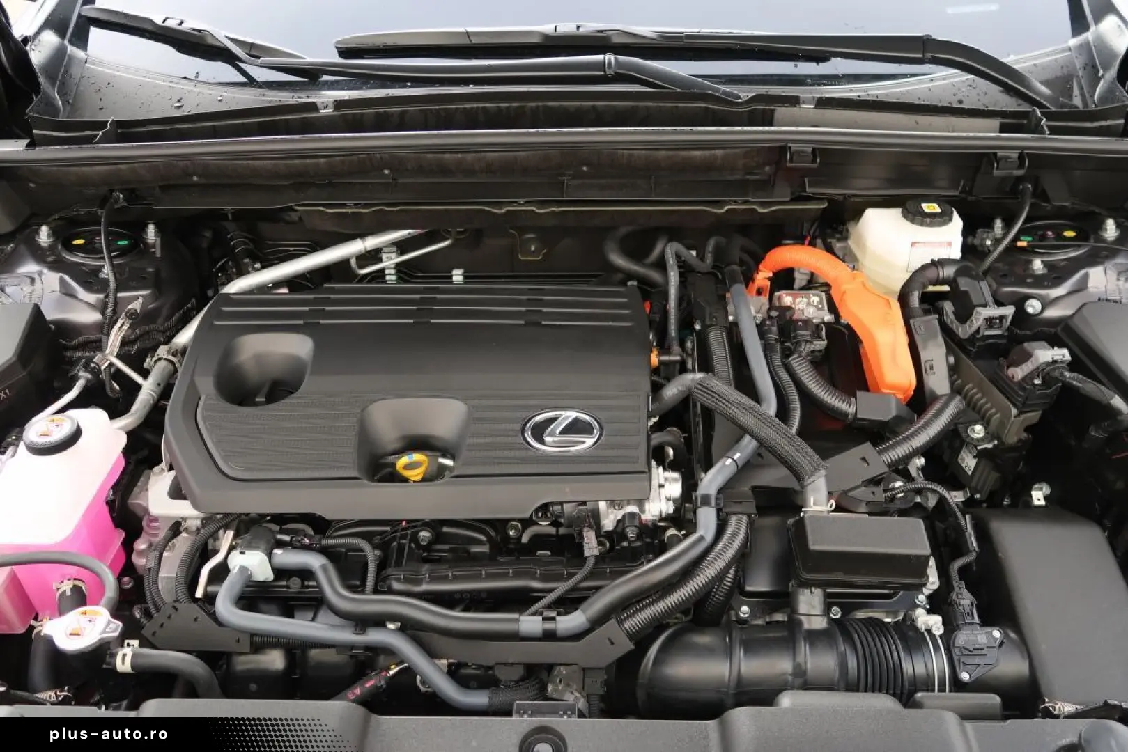 LEXUS NX 350h Luxury Line