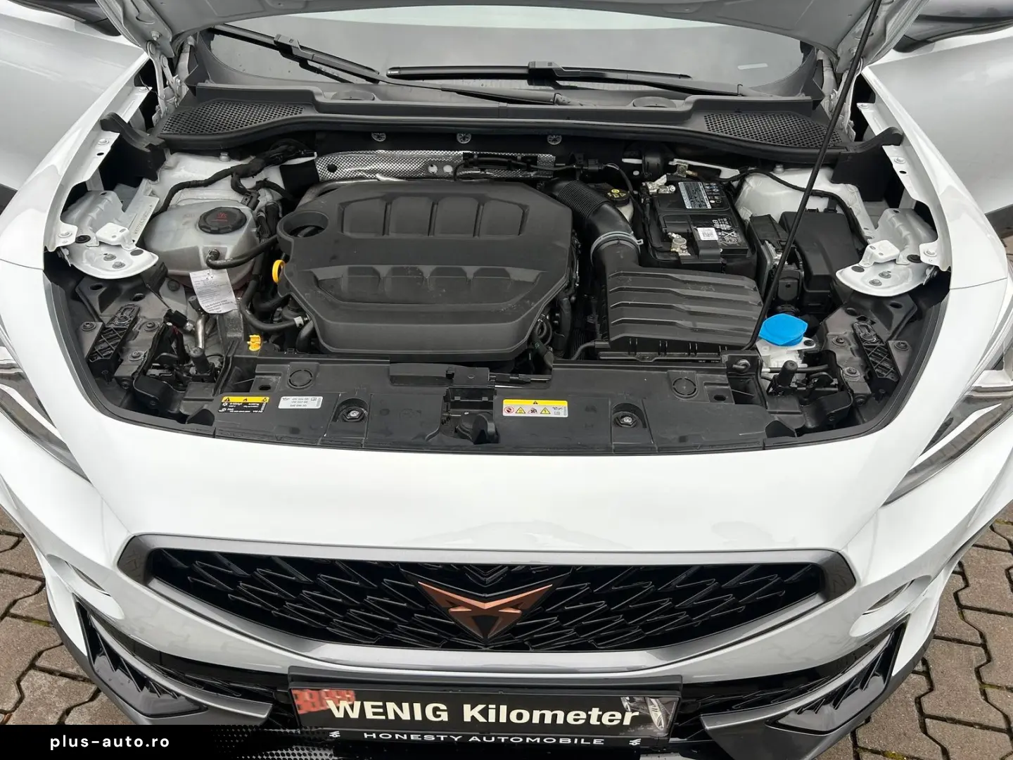 CUPRA Formentor ALLRAD VZ 2.0 TSI 4Drive OPF RÜCKFA...