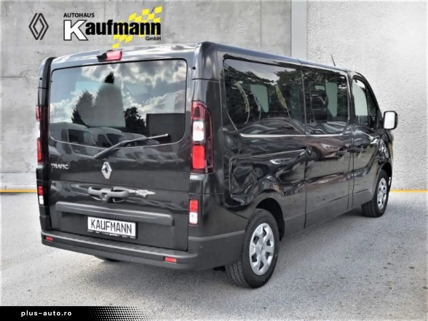 RENAULT Trafic Combi L2H1 3 0t Life 2.0 BLUE dCi 110 9 S