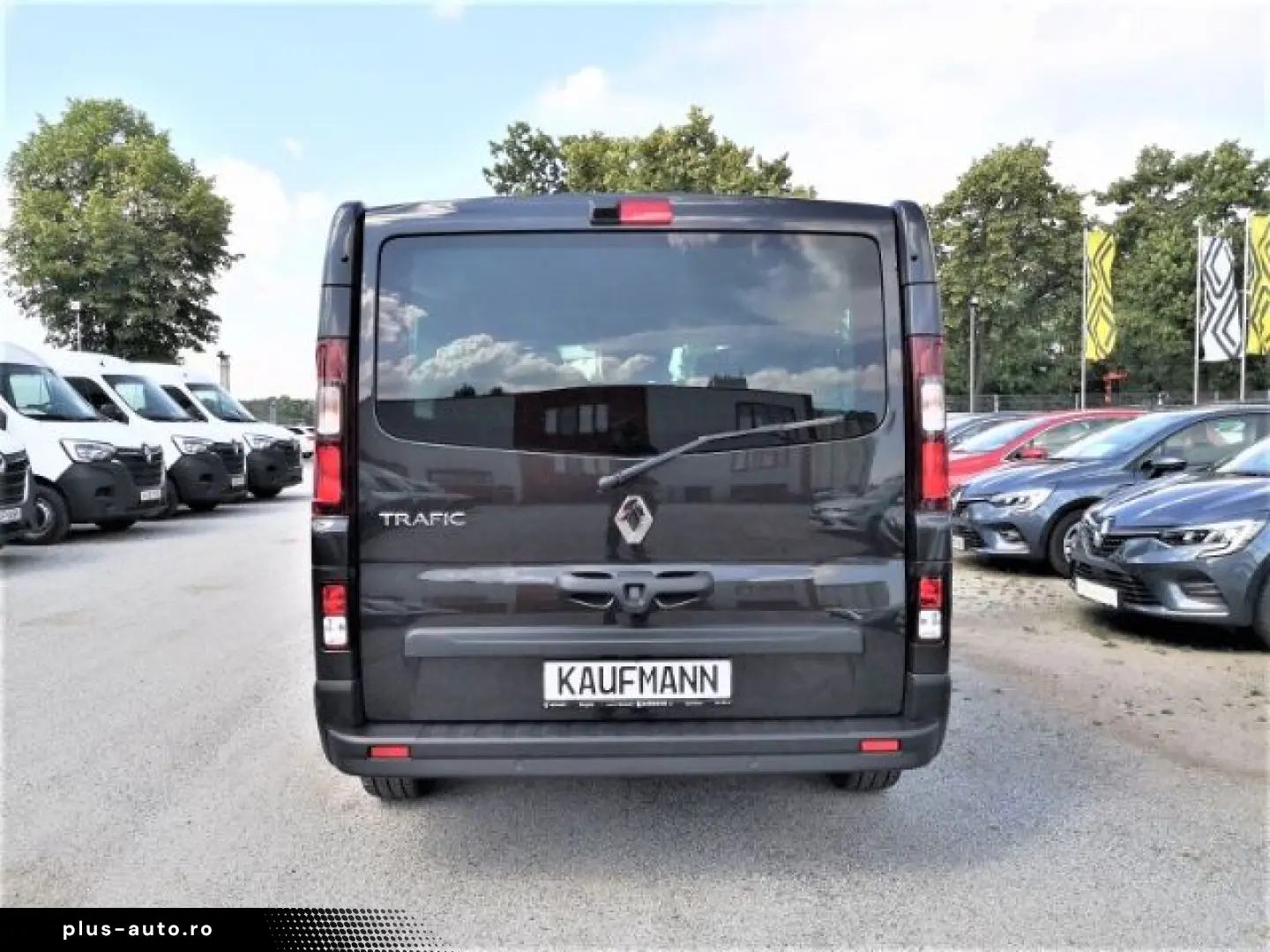RENAULT Trafic Combi L2H1 3 0t Life 2.0 BLUE dCi 110 9 S