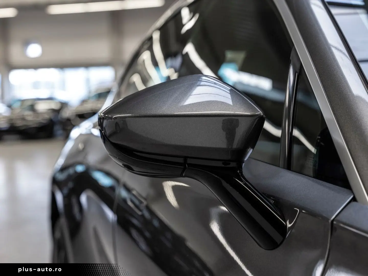 ASTON MARTIN DBX Magnetic Silver Onyx Black