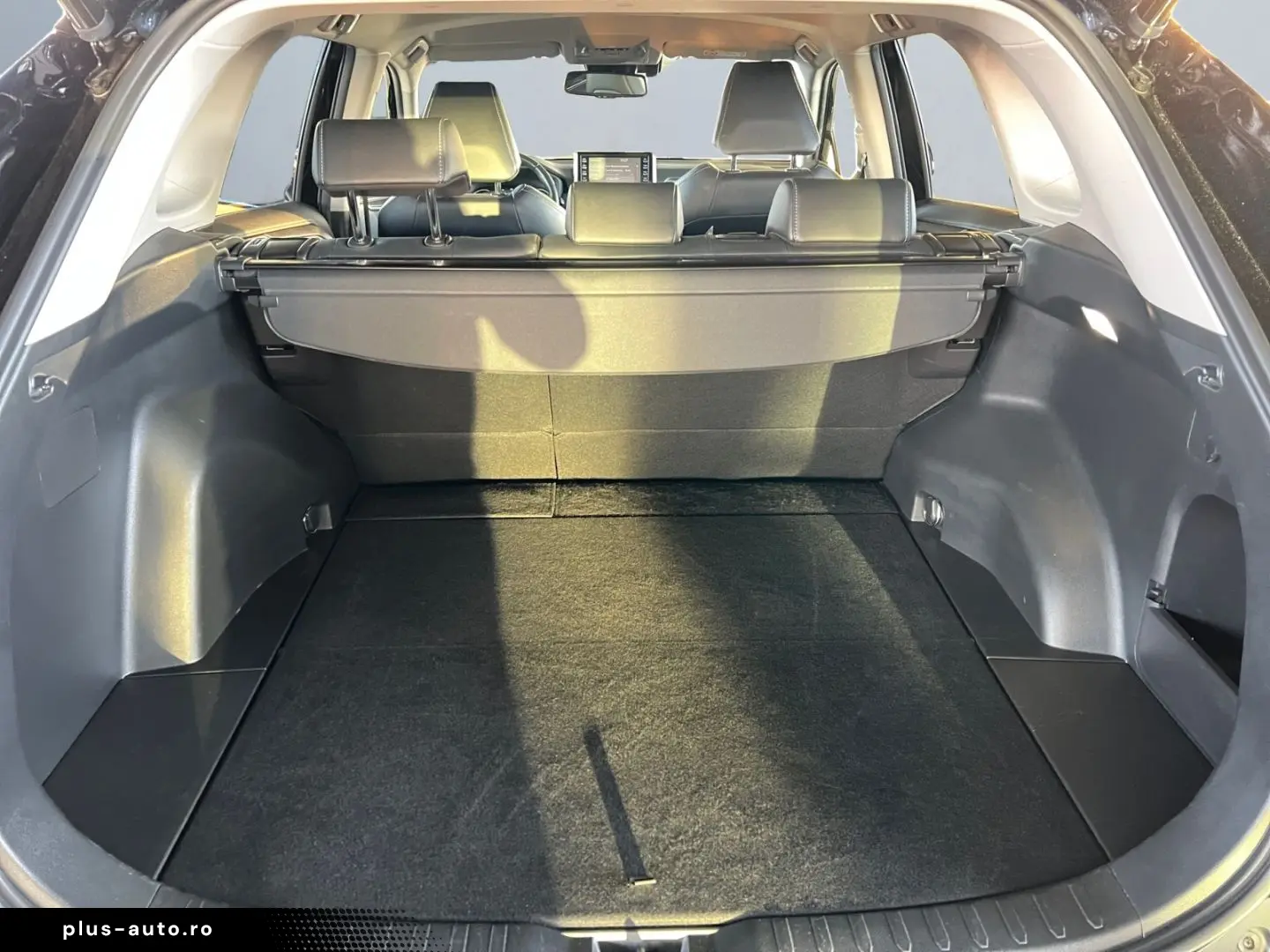 TOYOTA RAV 4 2.0 4x2 Team D  LED ACC CAM SHZ CarPlay PD