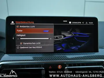 BMW X4 30 D M SPORT SHADOW  CARBON STAND PANO ACC 21