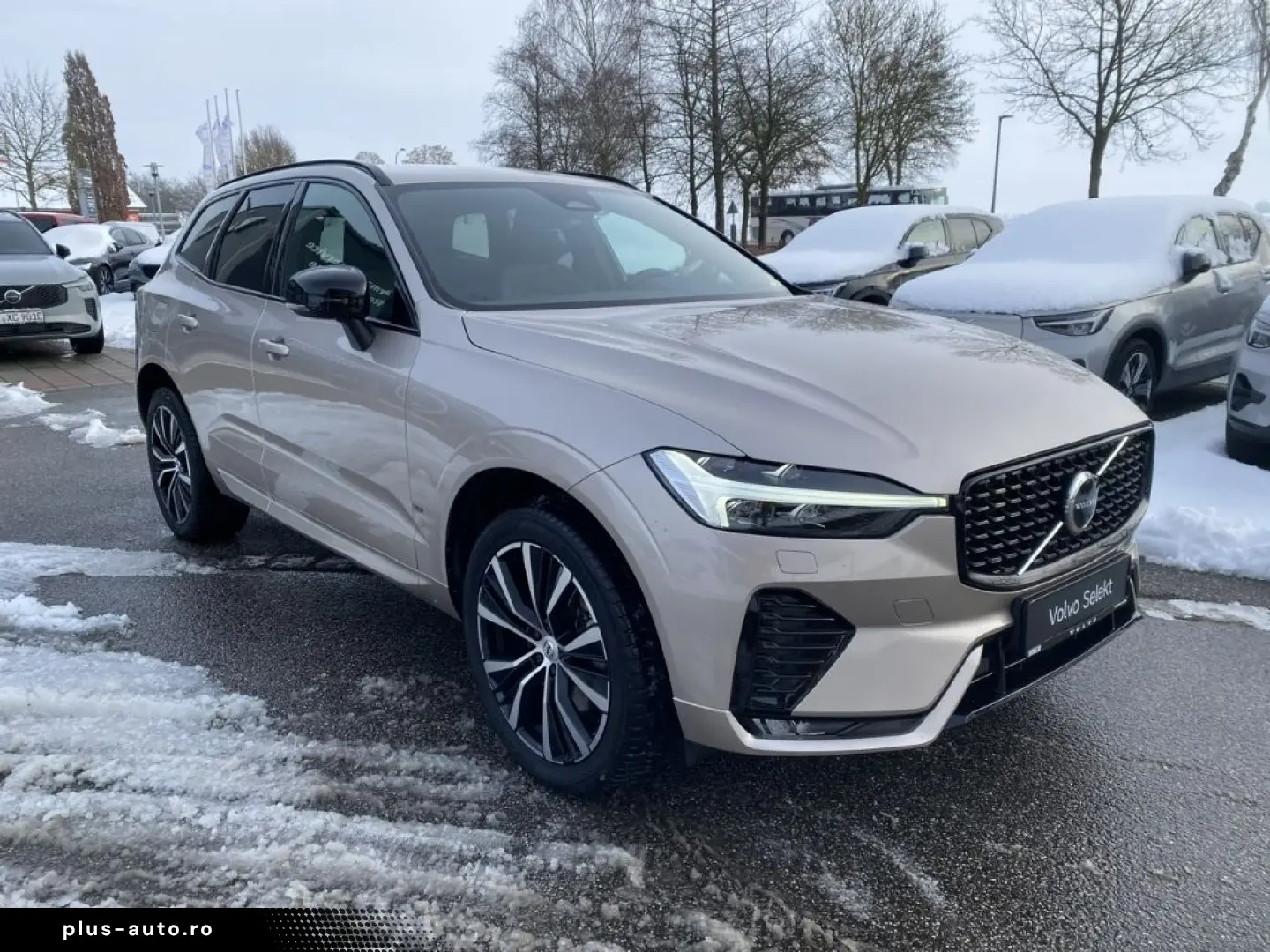 VOLVO XC60 Plus Dark AWD B4 Diesel EU6d StandHZG Leder