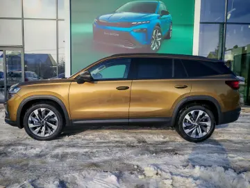 Skoda Kodiaq Selection 2.0 TDI DSG 4X4