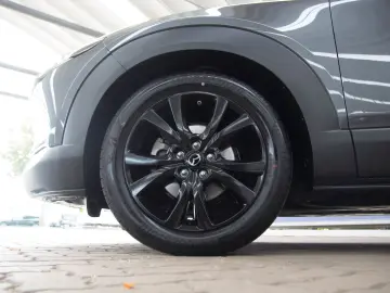 MAZDA CX-30 2.5 e-SKYACTIV-G Homura