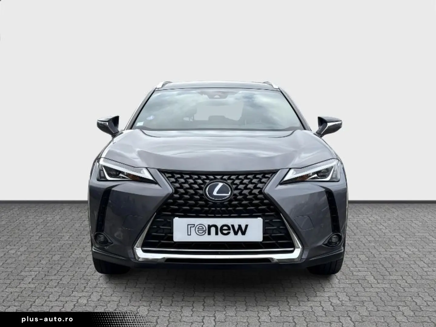 LEXUS UX 2.0 250h Business Auto