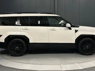 HYUNDAI Santa Fe 1.6 T-GDI Hybrid 4WD Blackline PANORAMA