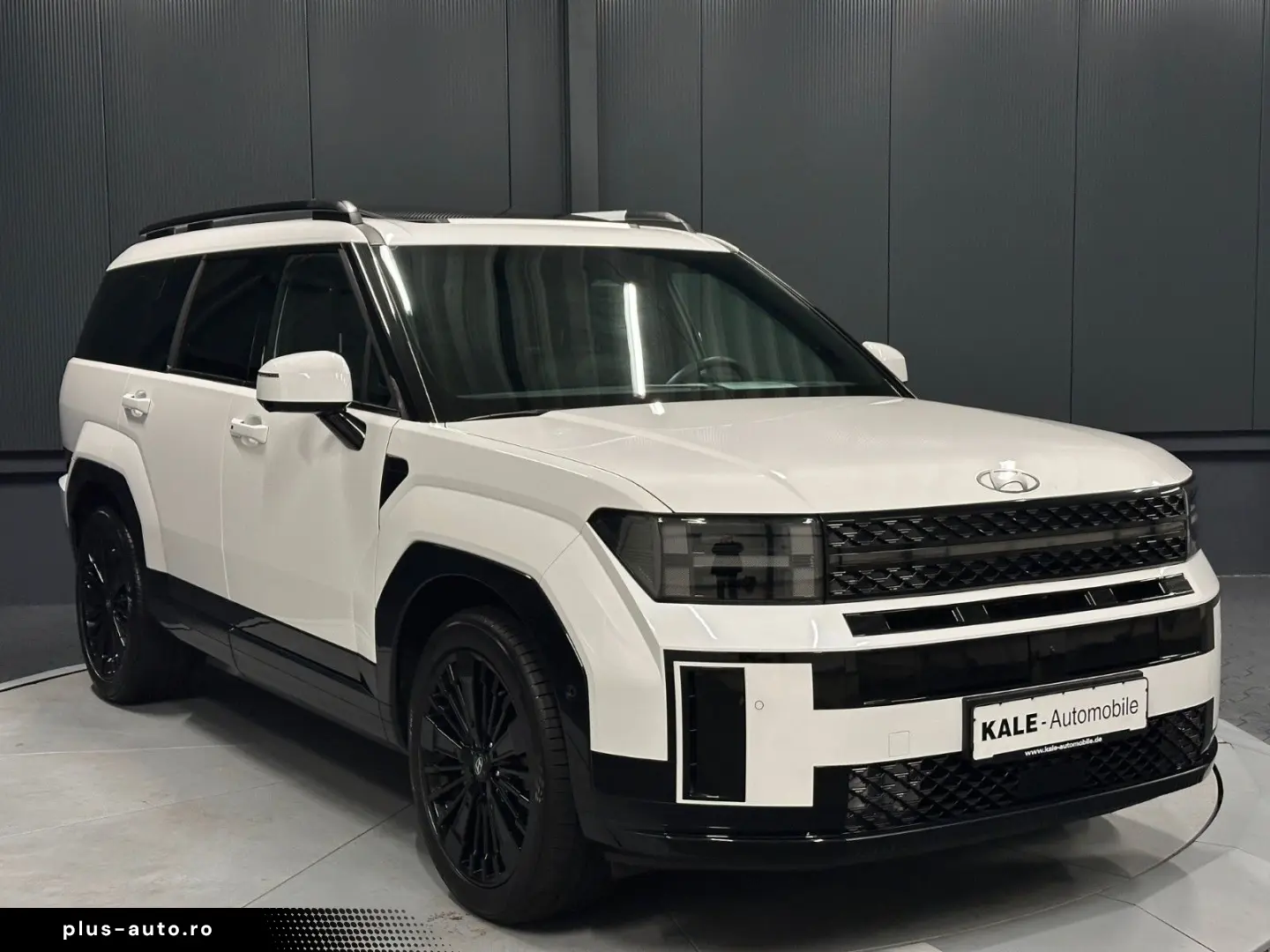 HYUNDAI Santa Fe 1.6 T-GDI Hybrid 4WD Blackline PANORAMA