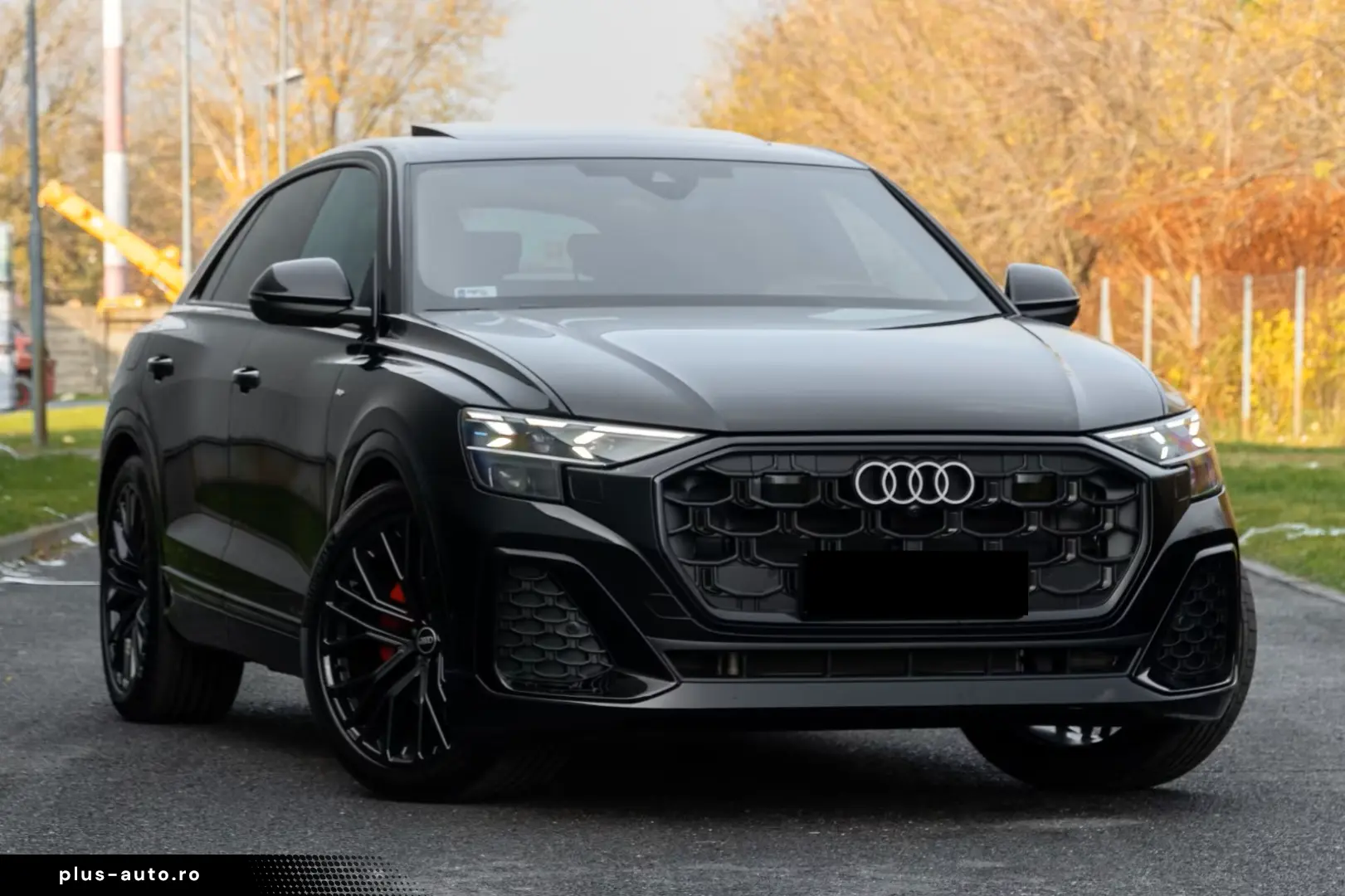 Audi Q8 50 TDI SLINE. MATRIX. LUFT. PANO