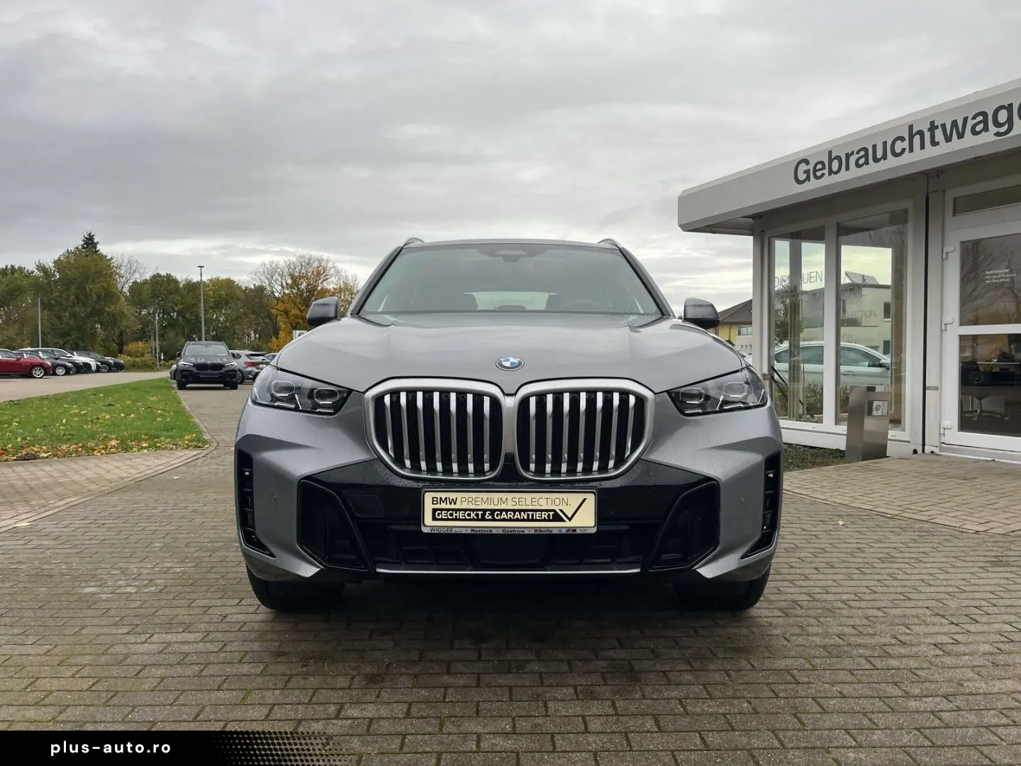 BMW X5 xDrive 30d M Sport StandHZG AHK Panodach Navi