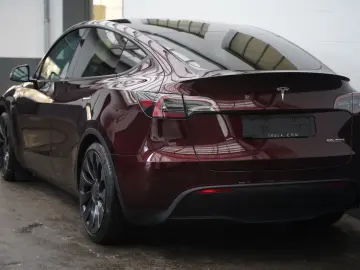 TESLA Model Y Performance
