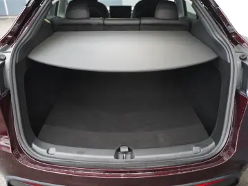 TESLA Model Y Performance