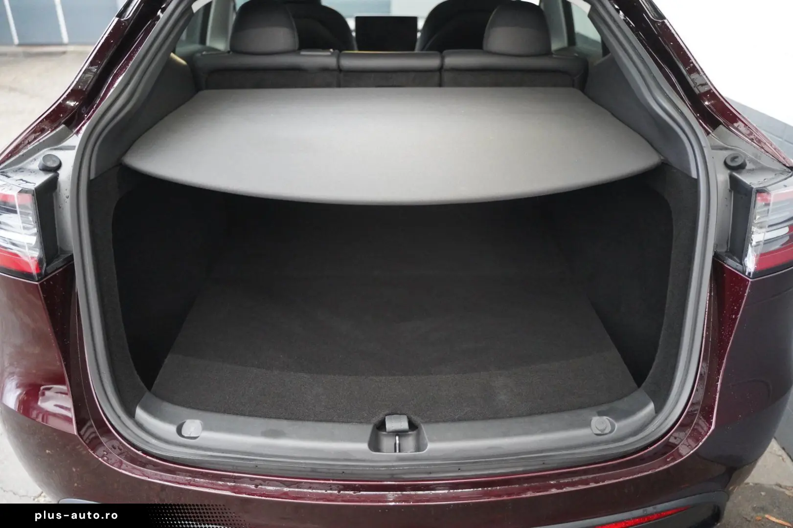 TESLA Model Y Performance