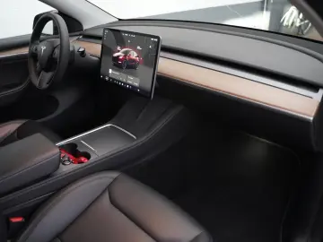 TESLA Model Y Performance