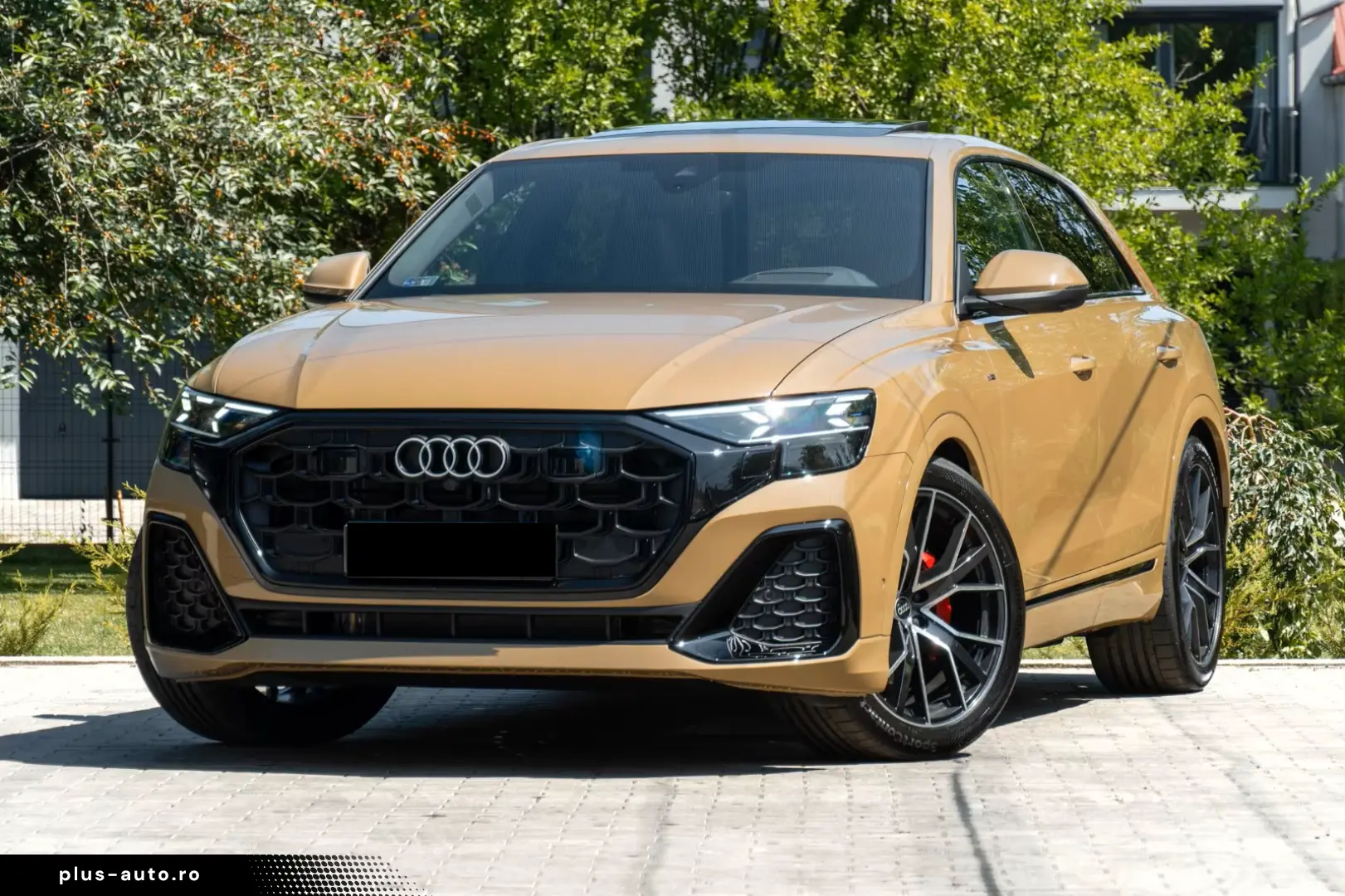 Audi Q8 50 TDI QUATTRO. Linia S. MATRIX.