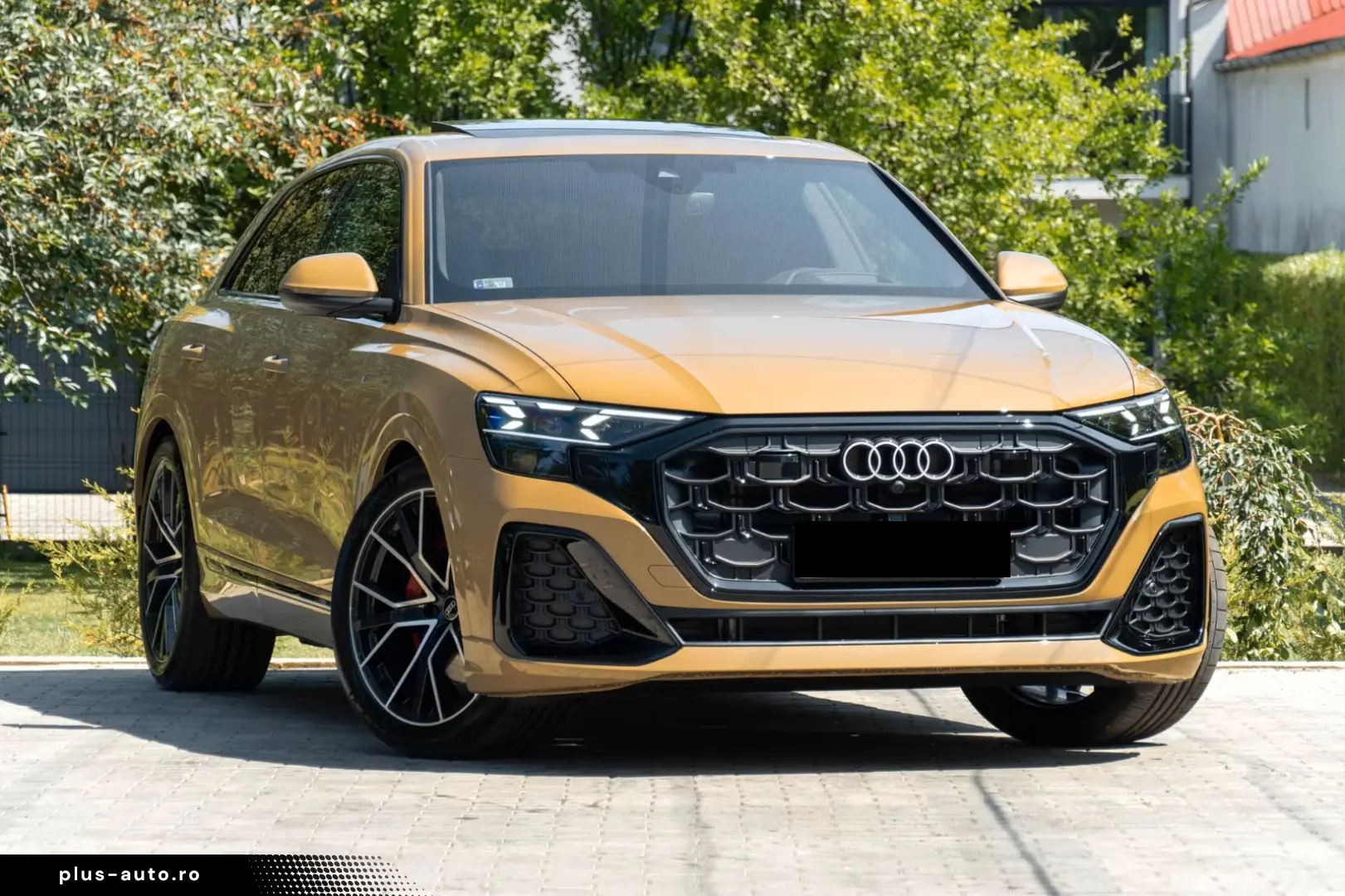 Audi Q8 50 TDI QUATTRO. Linia S. MATRIX.