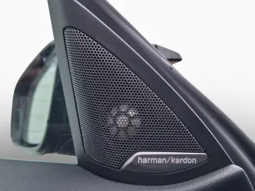 BMW M4 Comp. Coupe SchalenSi Carbon AdLED H K DAPro