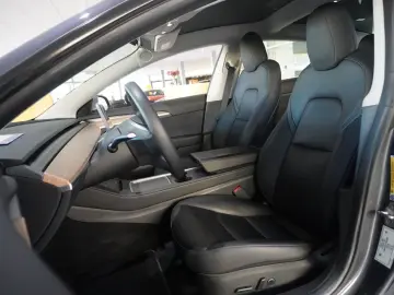 TESLA Model 3 Standard Range NAVI KAMERA SH WÄRMEPUMPE