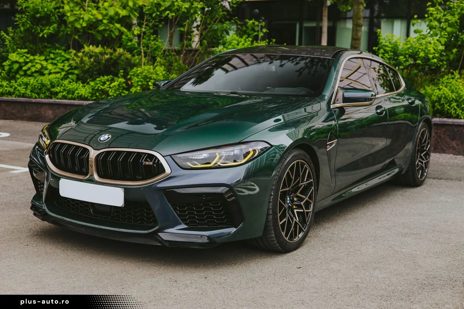 BMW M8 First Edition