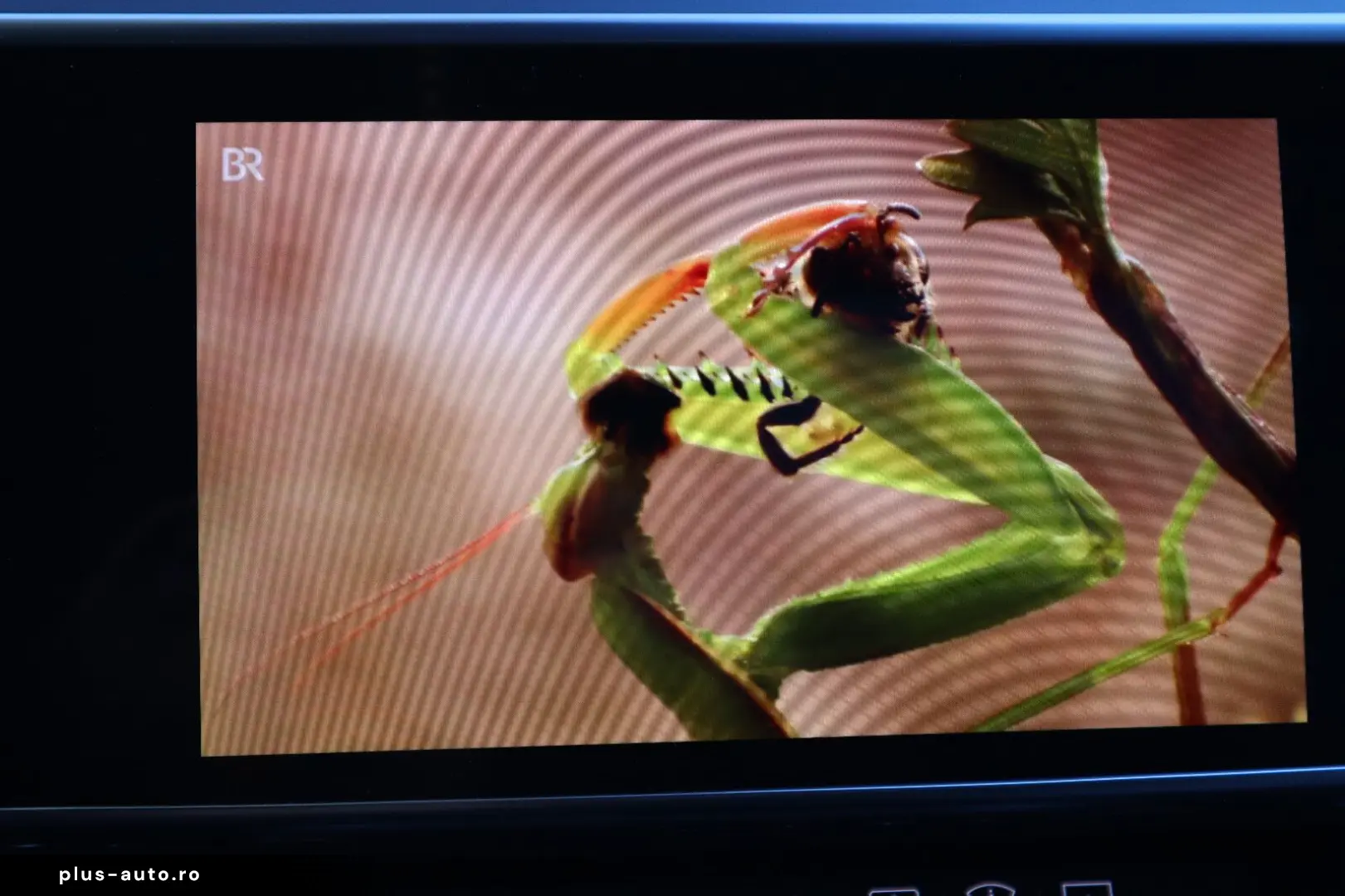 AUDI A8L 60 TFSIe lang exclusive B&O