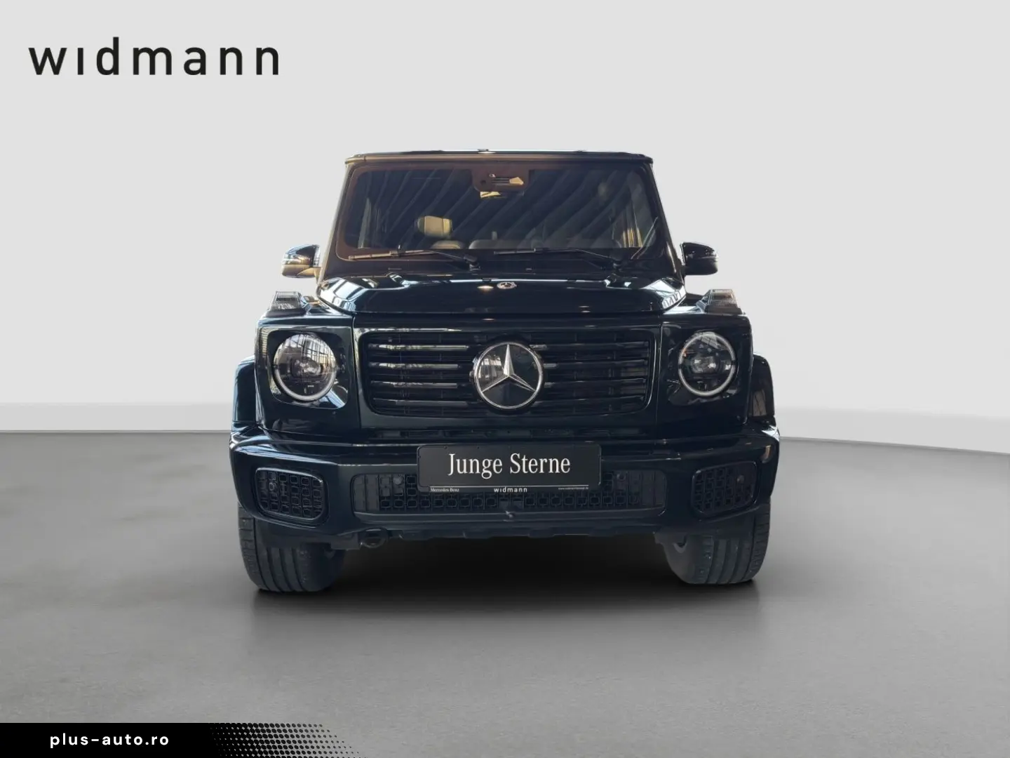 MERCEDES-BENZ G 450 d 360 ACC AHK AUT DynLicht Fernlichtass.