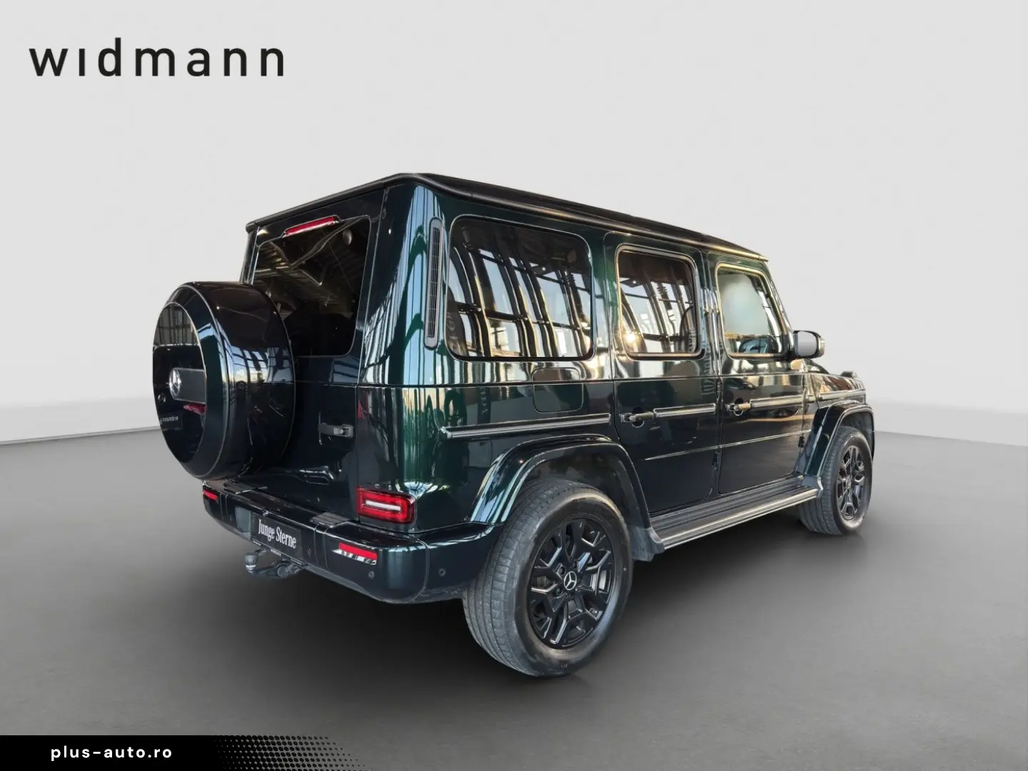 MERCEDES-BENZ G 450 d 360 ACC AHK AUT DynLicht Fernlichtass.