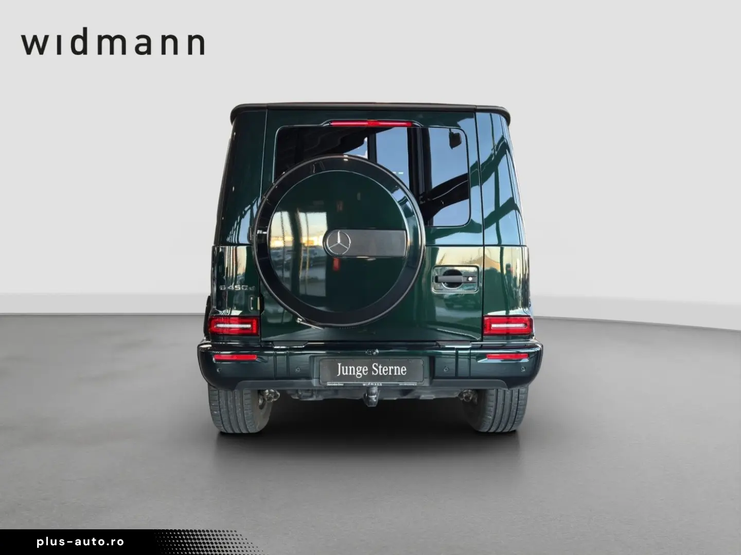 MERCEDES-BENZ G 450 d 360 ACC AHK AUT DynLicht Fernlichtass.