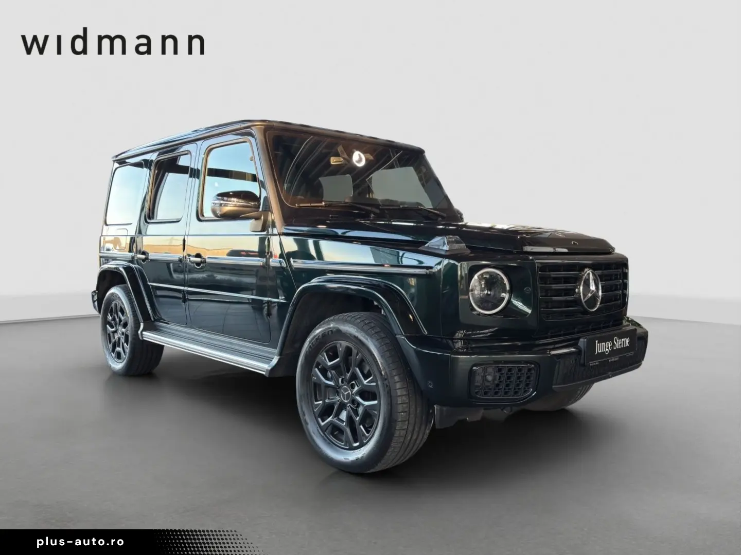 MERCEDES-BENZ G 450 d 360 ACC AHK AUT DynLicht Fernlichtass.