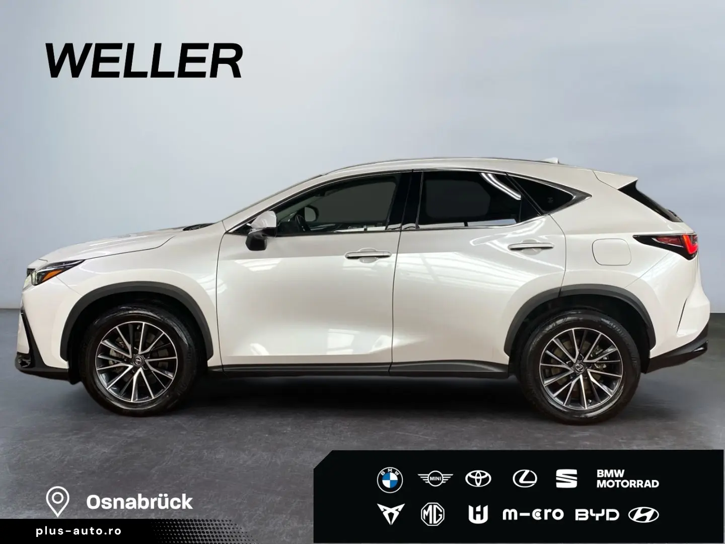 LEXUS NX 450h  E-FOUR Business  Bi-LED 360 Leder 4xSHZ