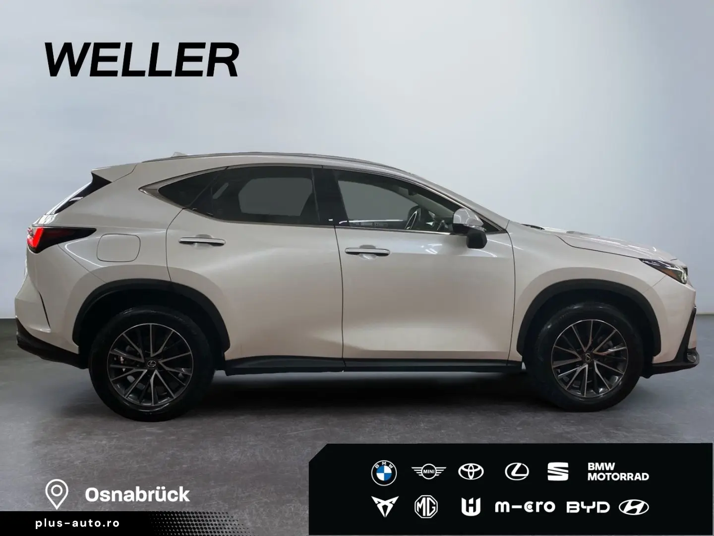 LEXUS NX 450h  E-FOUR Business  Bi-LED 360 Leder 4xSHZ