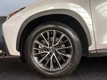 LEXUS NX 450h  E-FOUR Business  Bi-LED 360 Leder 4xSHZ