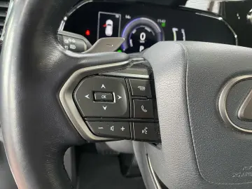 LEXUS NX 450h  E-FOUR Business  Bi-LED 360 Leder 4xSHZ