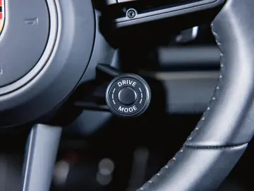 PORSCHE Panamera 4S E-Hybrid Sportabgasanlage