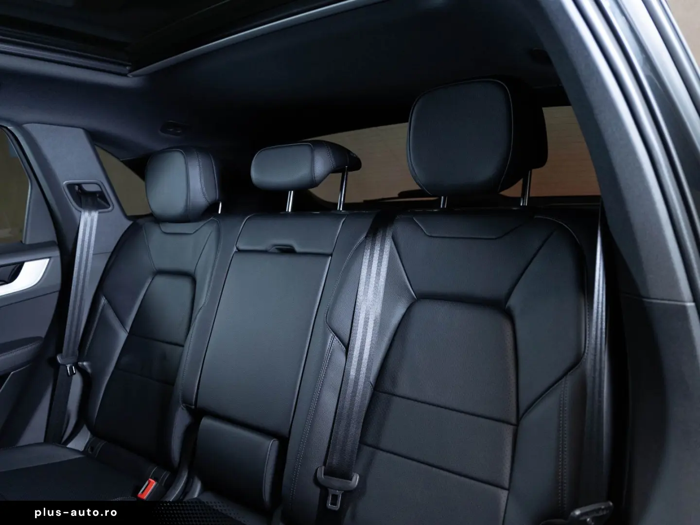 PORSCHE Cayenne E-Hybrid Panoramadach Luftfederung