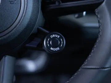 PORSCHE Cayenne E-Hybrid Panoramadach Luftfederung