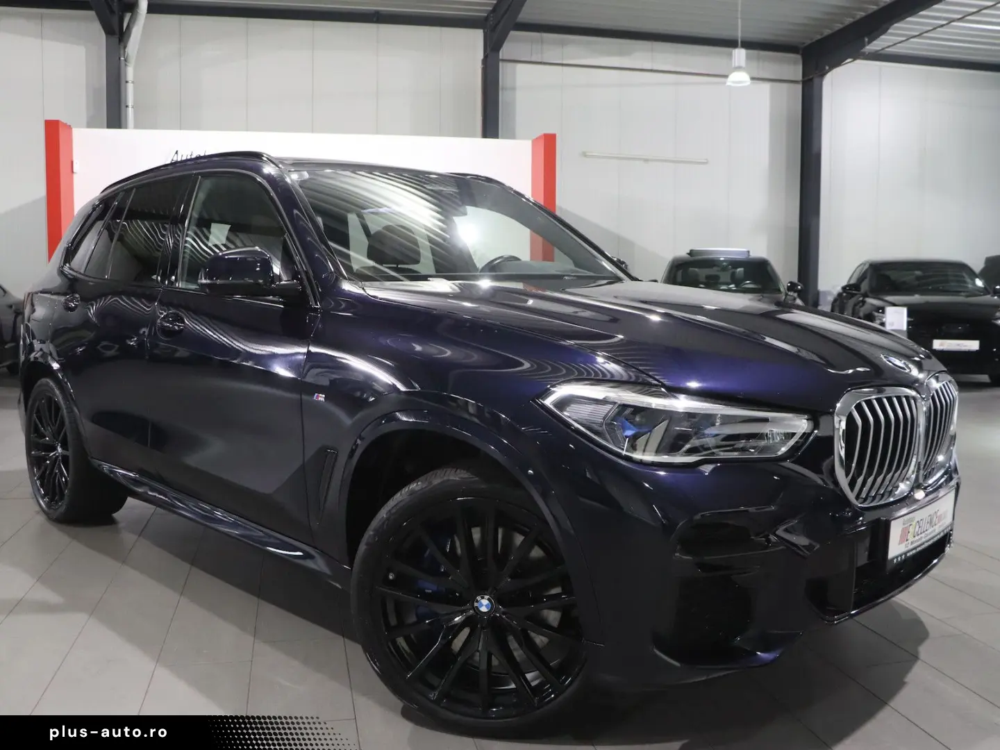 BMW X5 xDrive 40d INDIVIDUAL M-SPORTPAKET SKY-LOUNGE