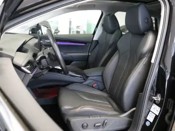 SKODA Enyaq 4x4 WP AHK Kamera STHZ Pano Virtual