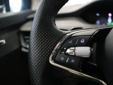 SKODA Enyaq 4x4 WP AHK Kamera STHZ Pano Virtual