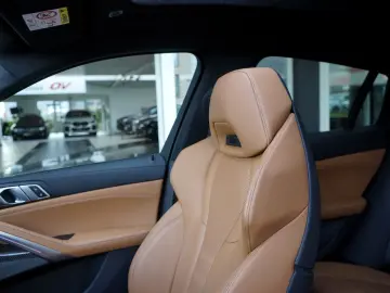 BMW X6 M50i Individual Carbon M Sitze PanoSKY Iconic