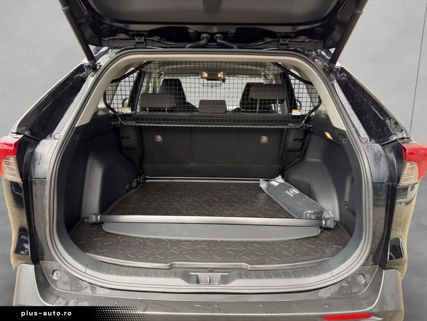 TOYOTA RAV 4 2.5 4x4 Hybrid Team Deutschland