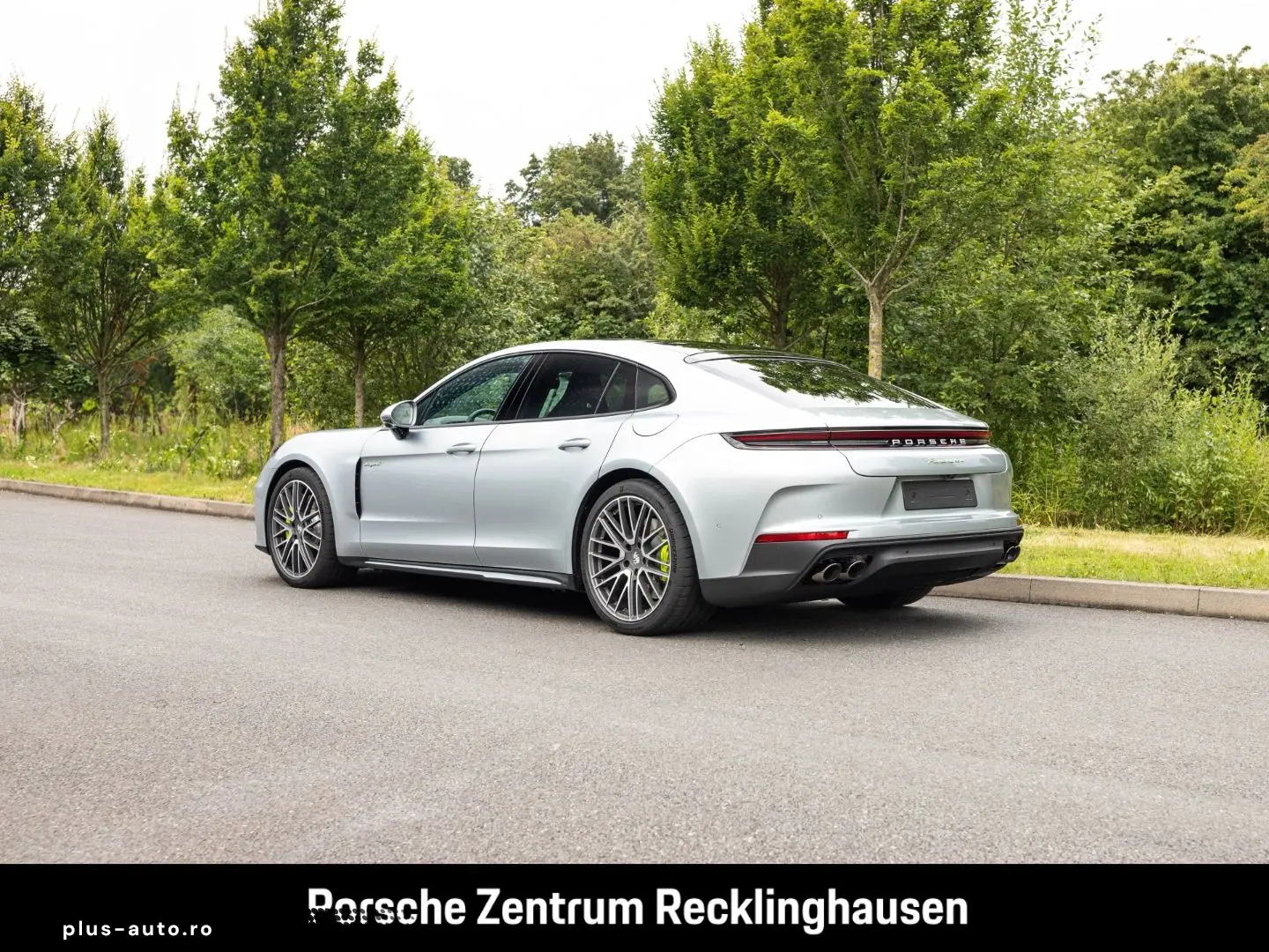 PORSCHE Panamera 4 E-Hybrid BOSE Panorama Surround-View