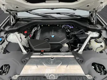 BMW X3 xDrive20d Aut. M Sport  DrivAss  ACC  RFK